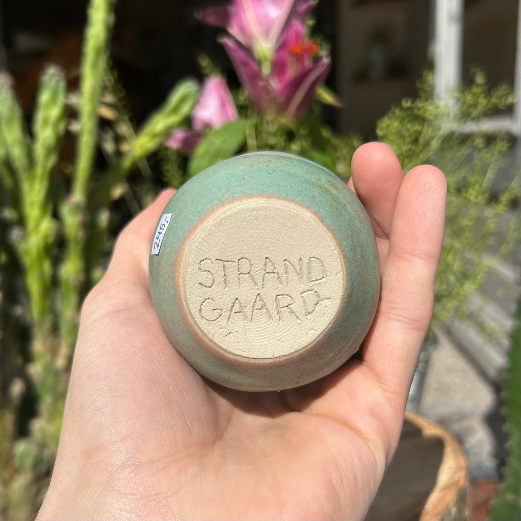 Skæv Bølgekop, "Matcha-grøn"