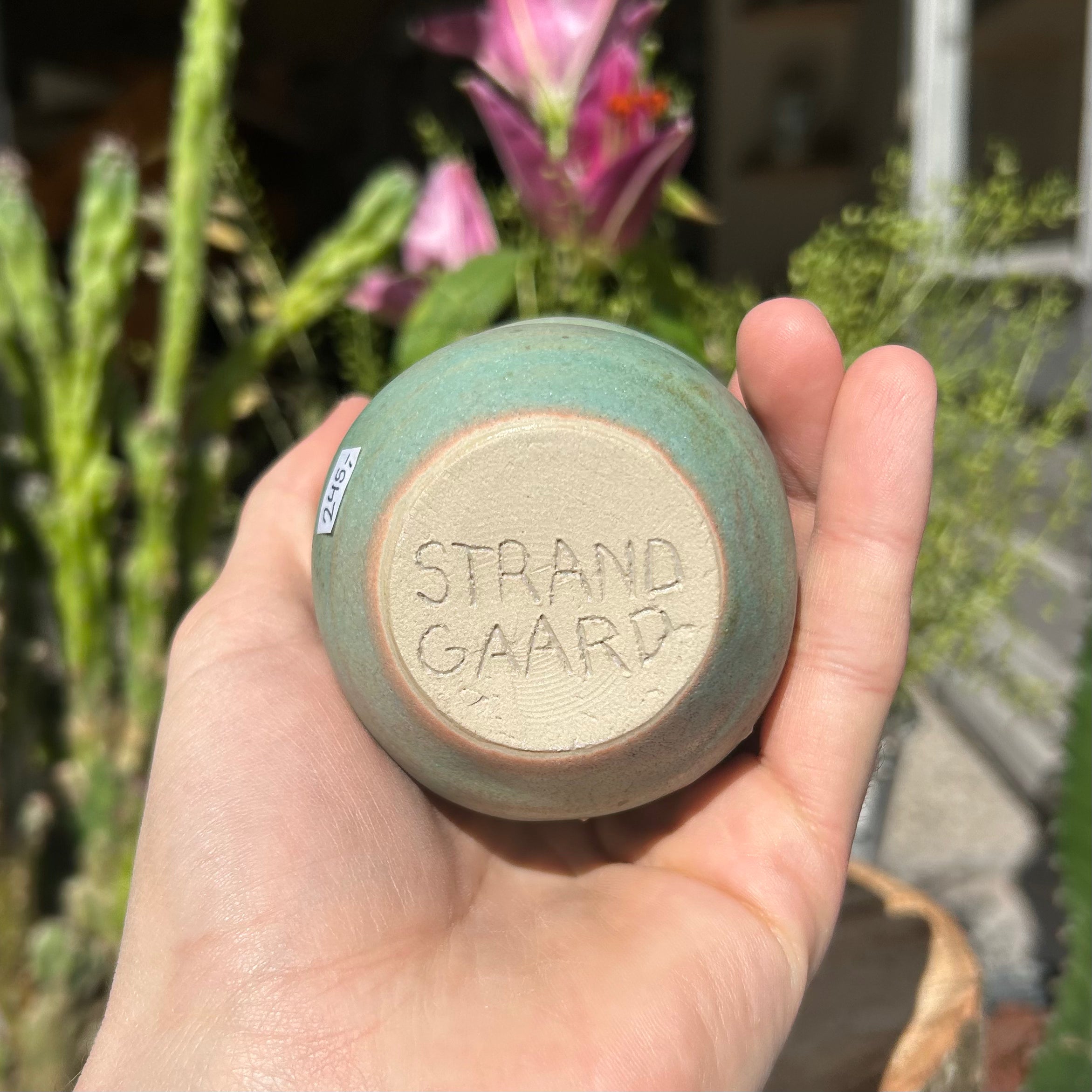 Skæv Bølgekop, "Matcha-grøn"
