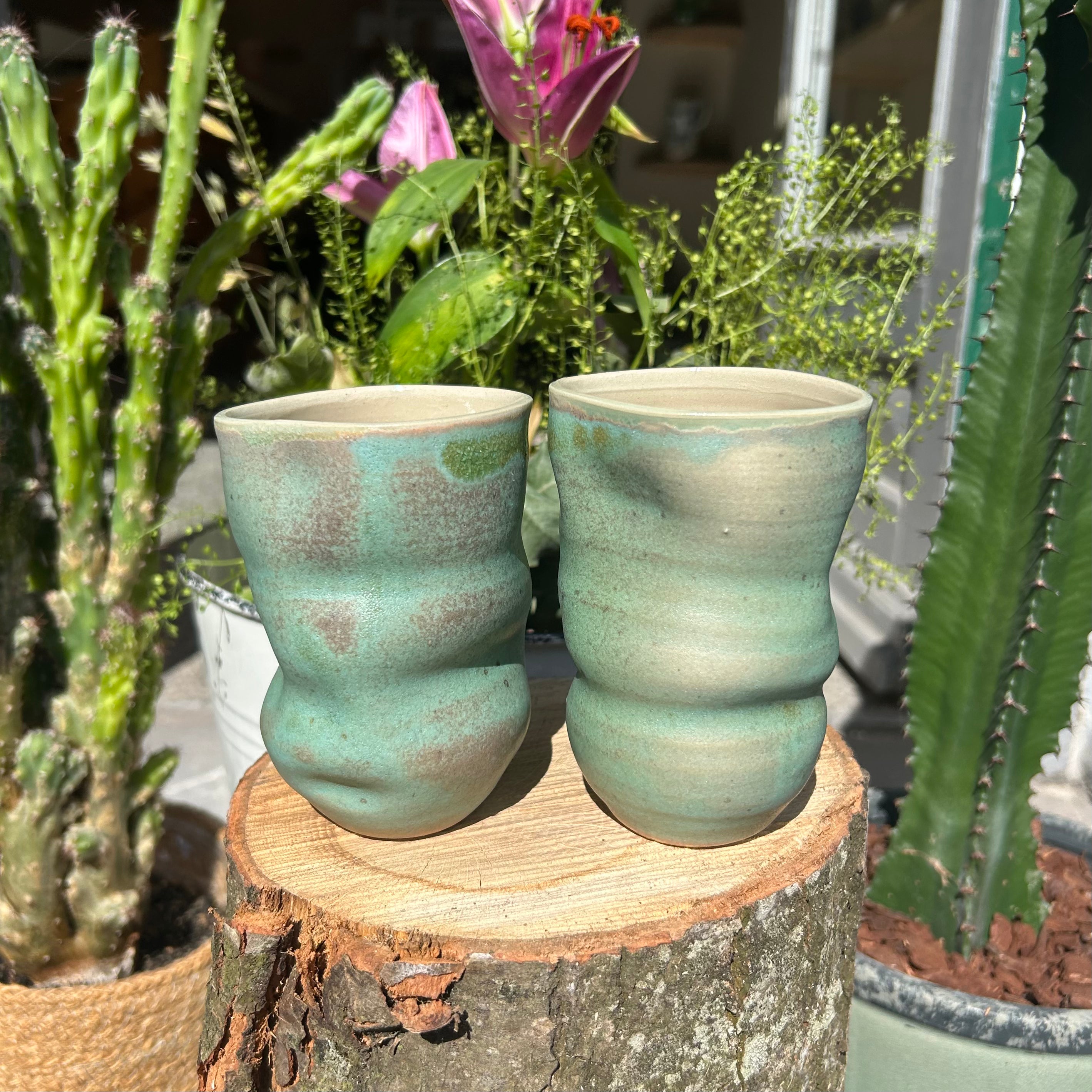 Skæv Bølgekop, "Matcha-grøn"