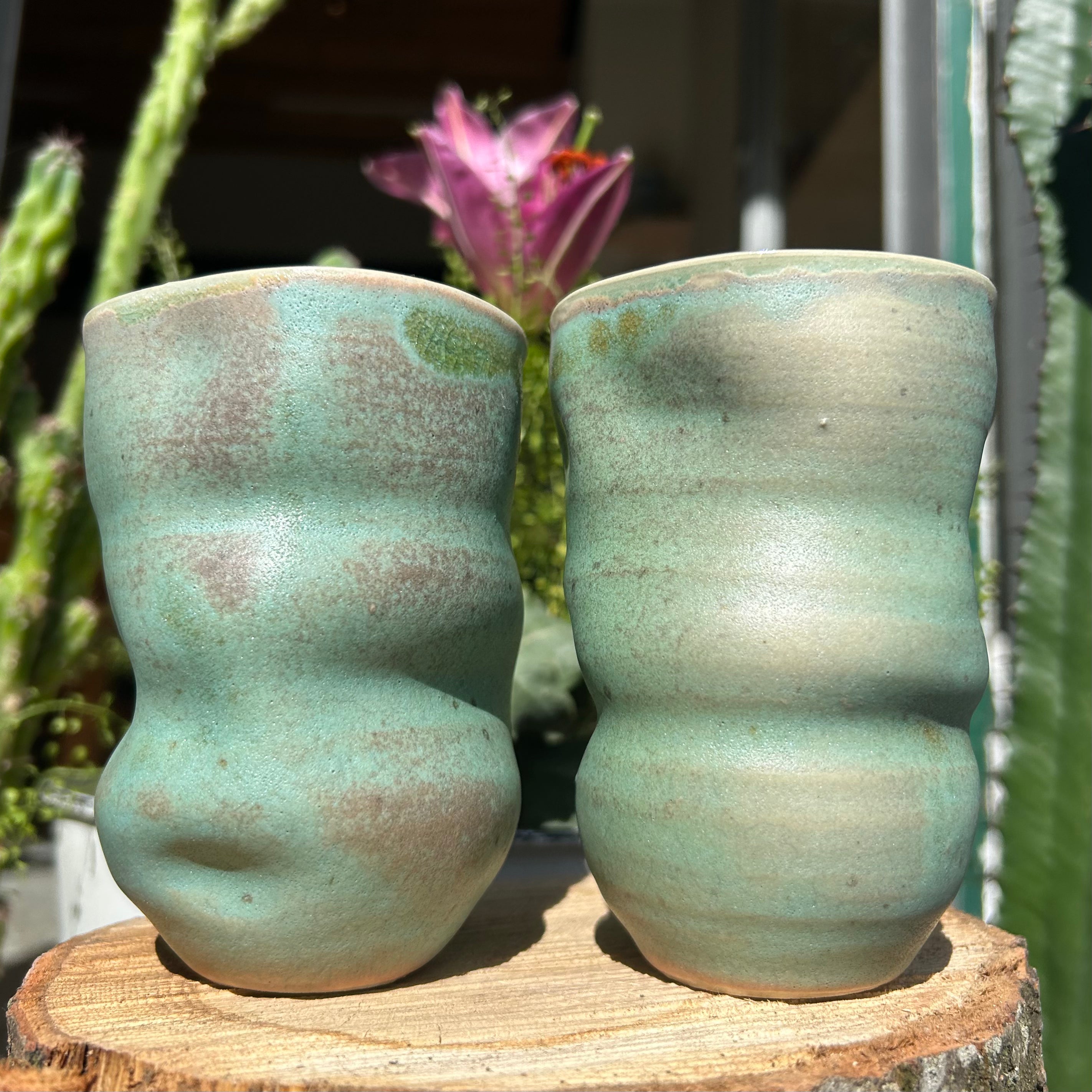 Skæv Bølgekop, "Matcha-grøn"