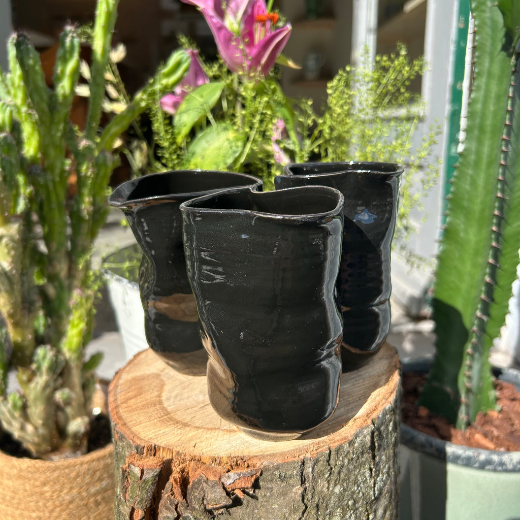 Spids Bølgekop, "Jet-Black"