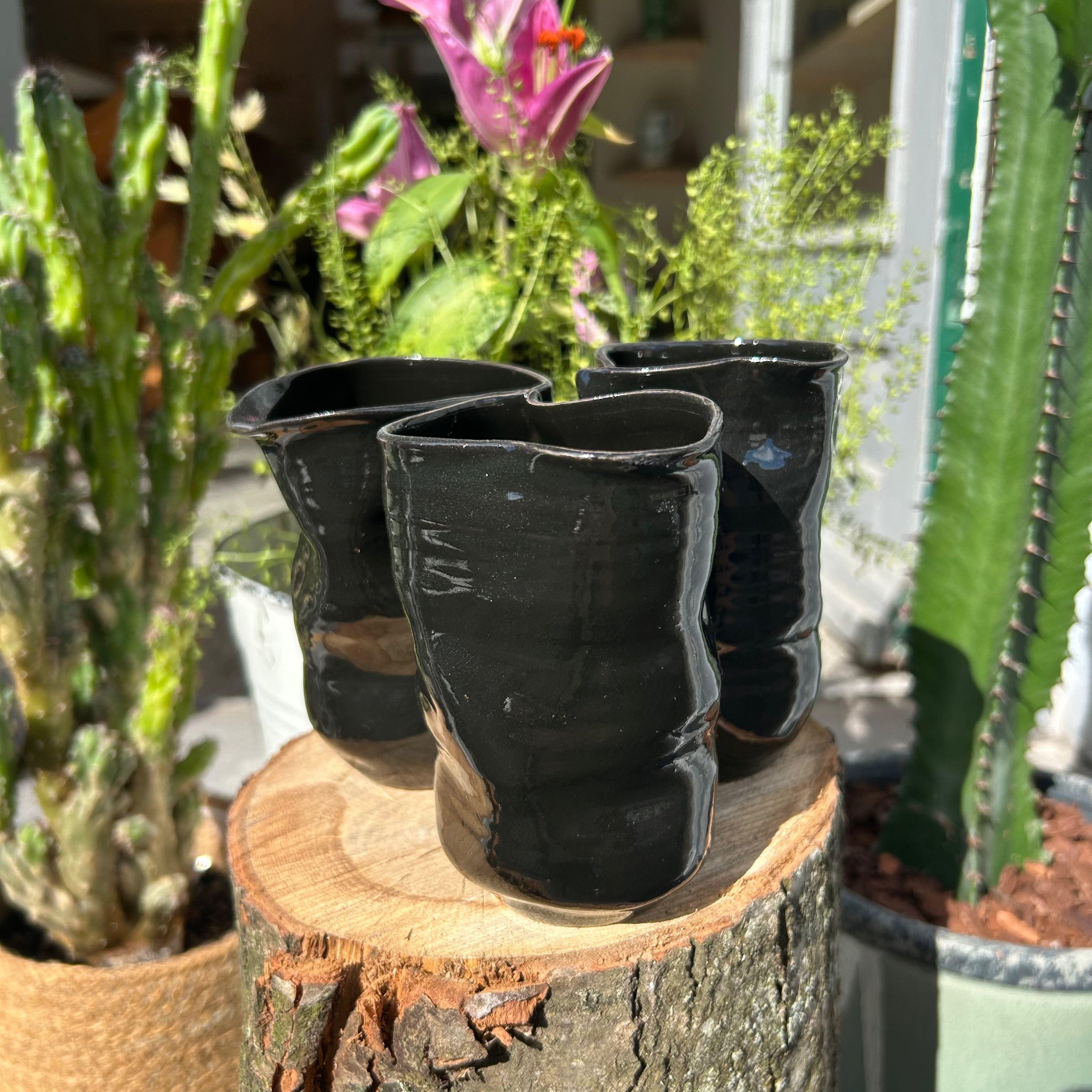 Spids Bølgekop, "Jet-Black"