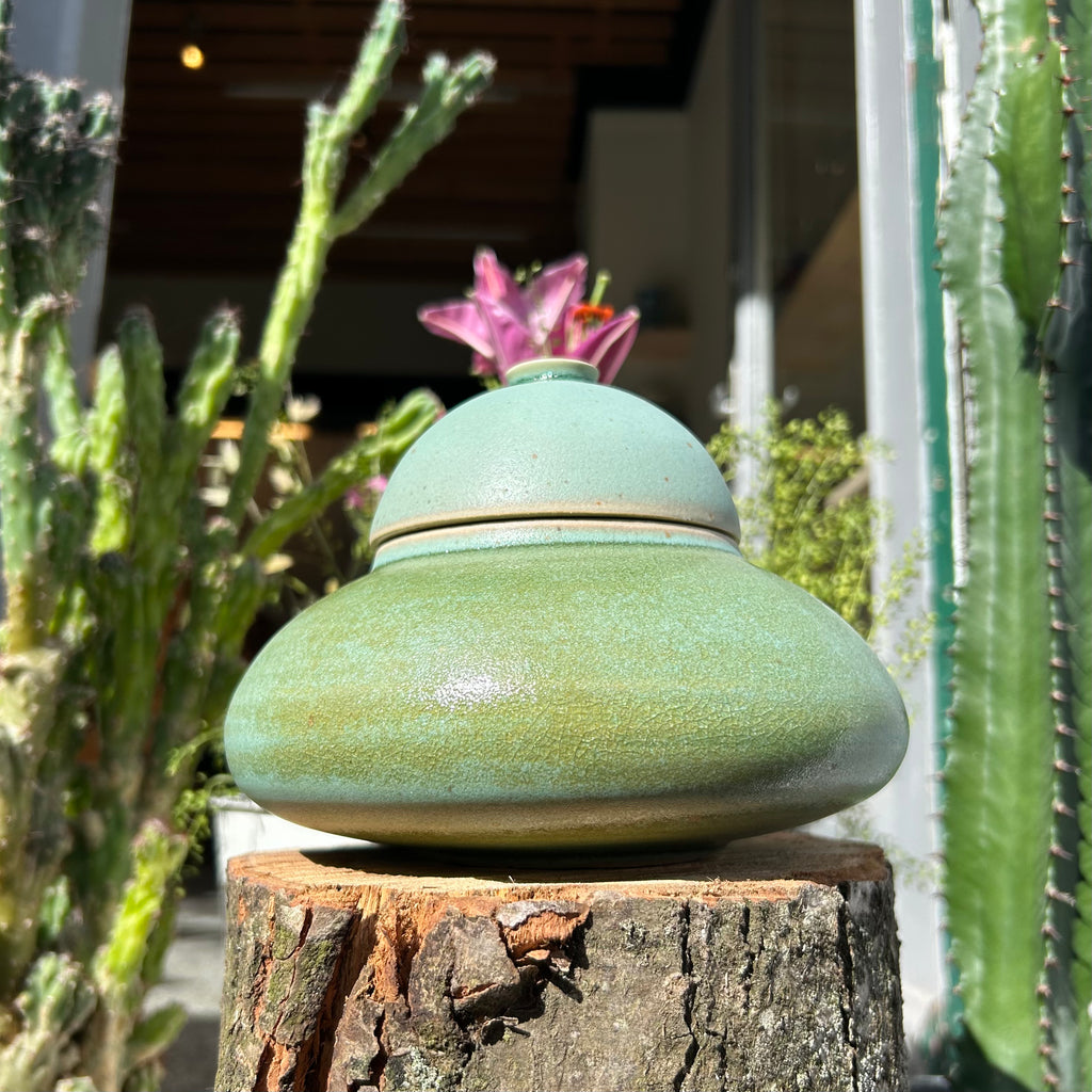 Ufo-Krukken, "Matcha-Grøn"