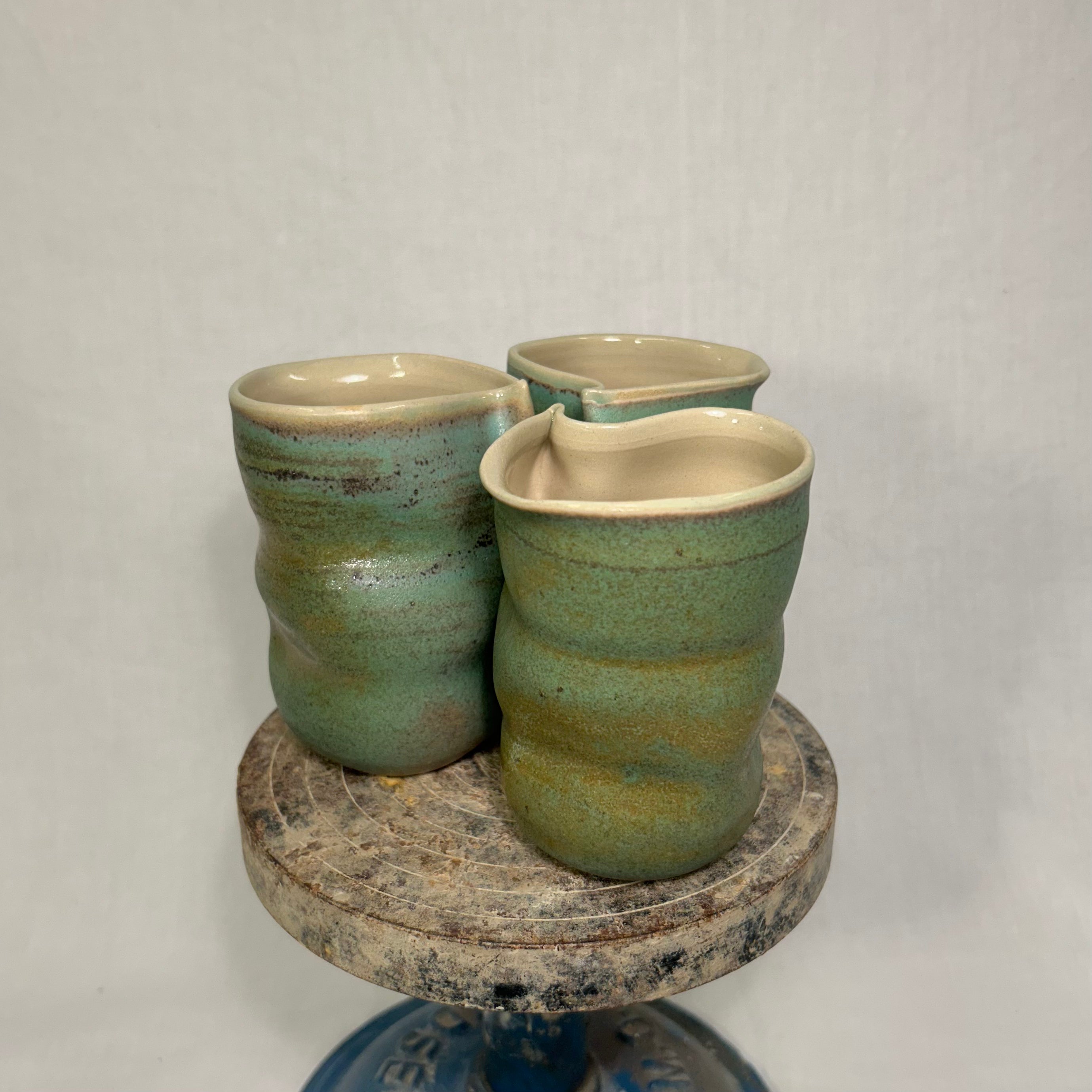Spids Bølgekop, "Matcha-Grøn"