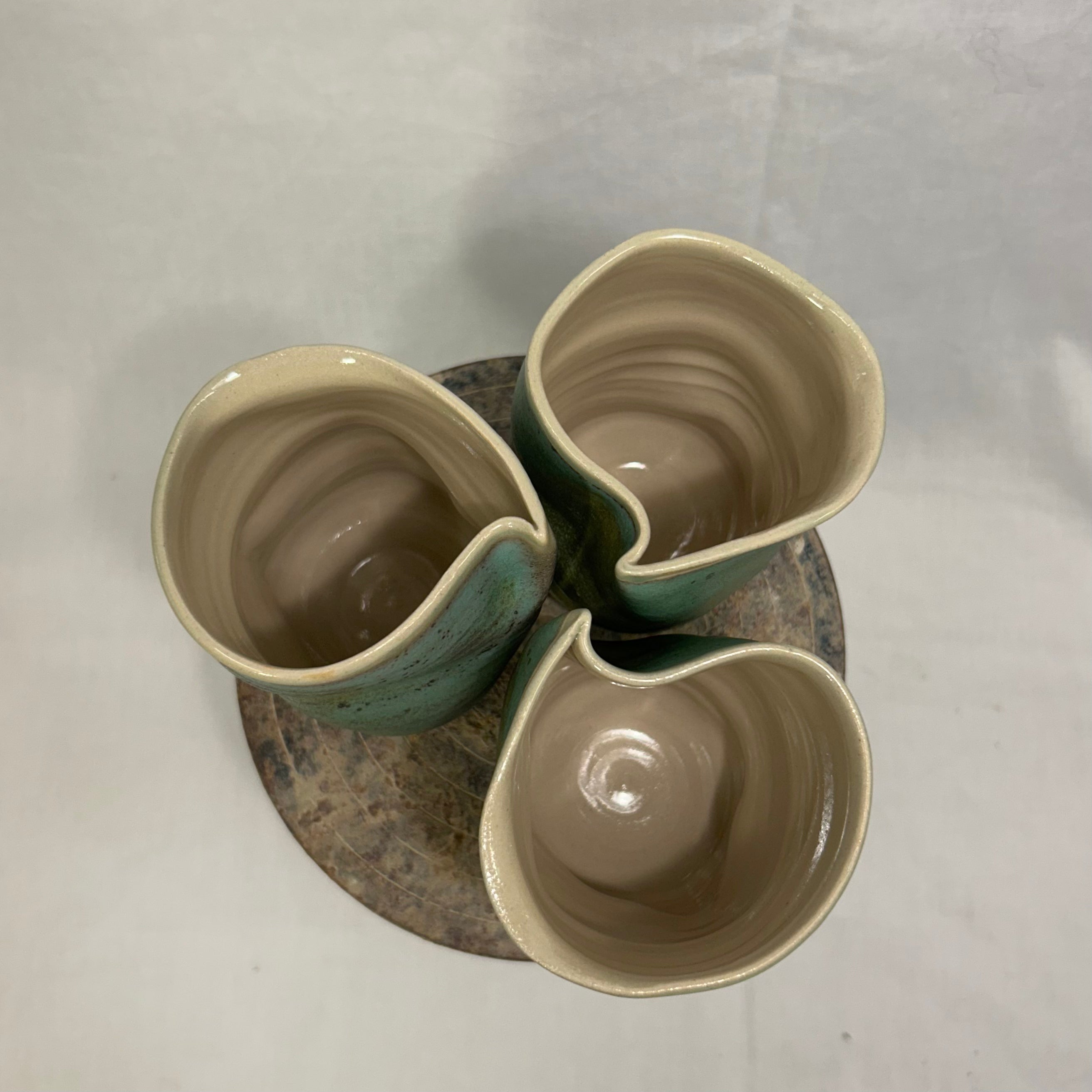 Spids Bølgekop, "Matcha-Grøn"