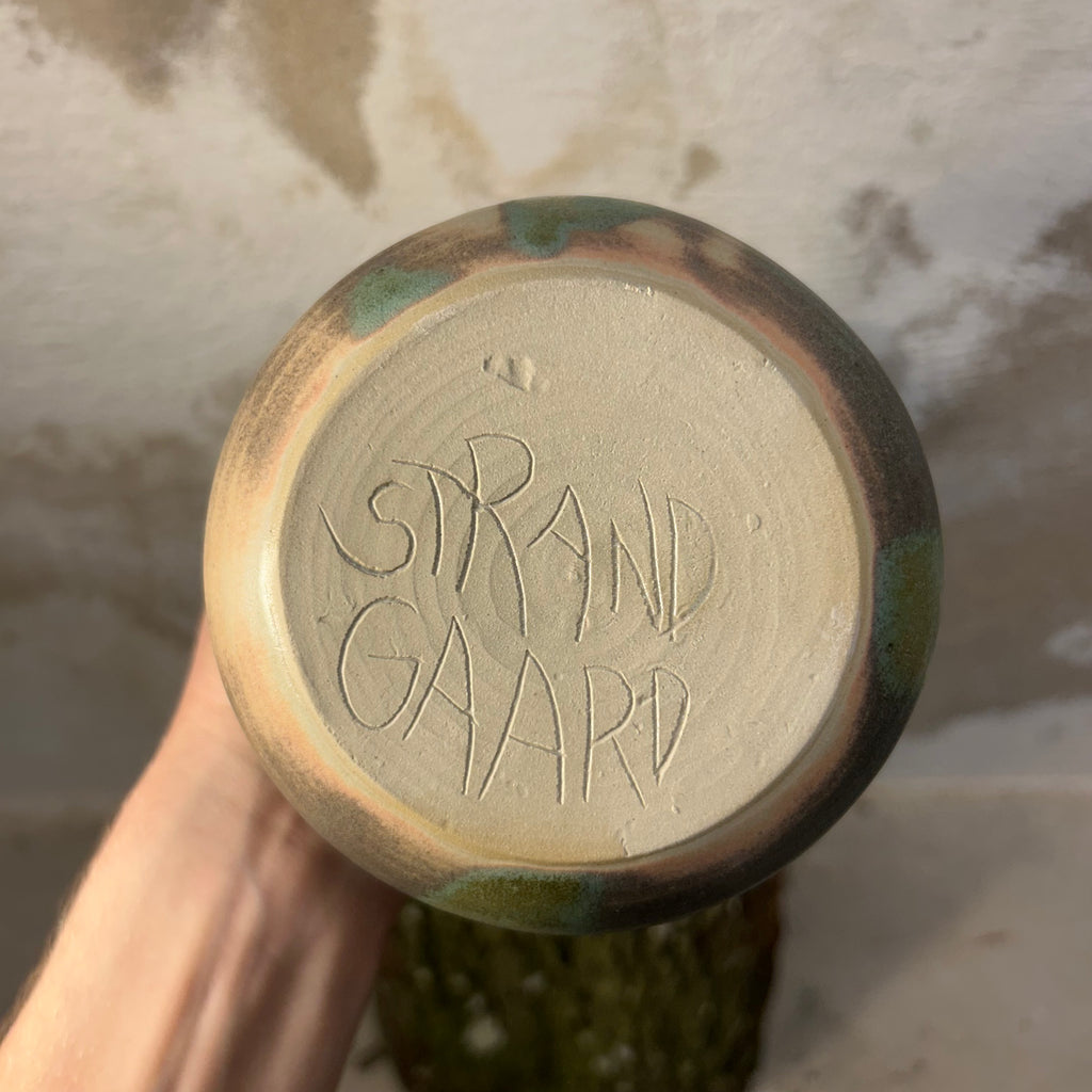 Bølget Tekande, "Matcha-Grøn"