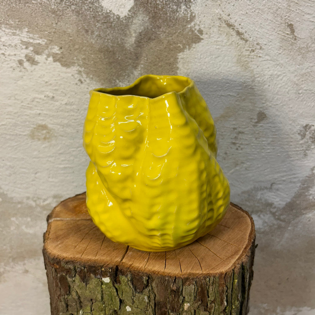 Koral-vase, "Sol-gul"