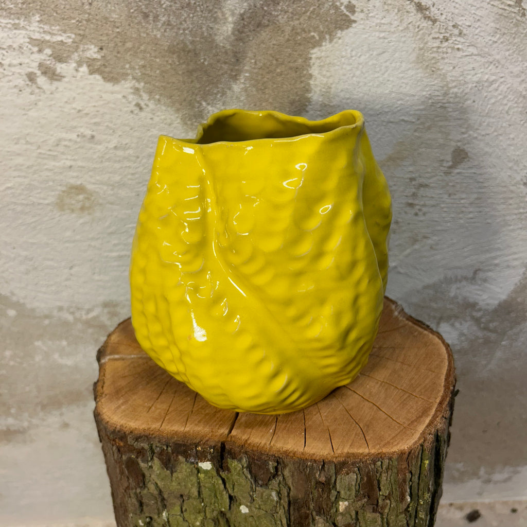Koral-vase, "Sol-gul"