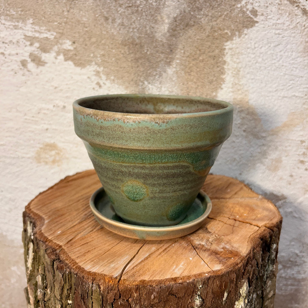 Potteskjuler, "Matcha-grøn"