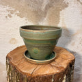 Potteskjuler, "Matcha-grøn"