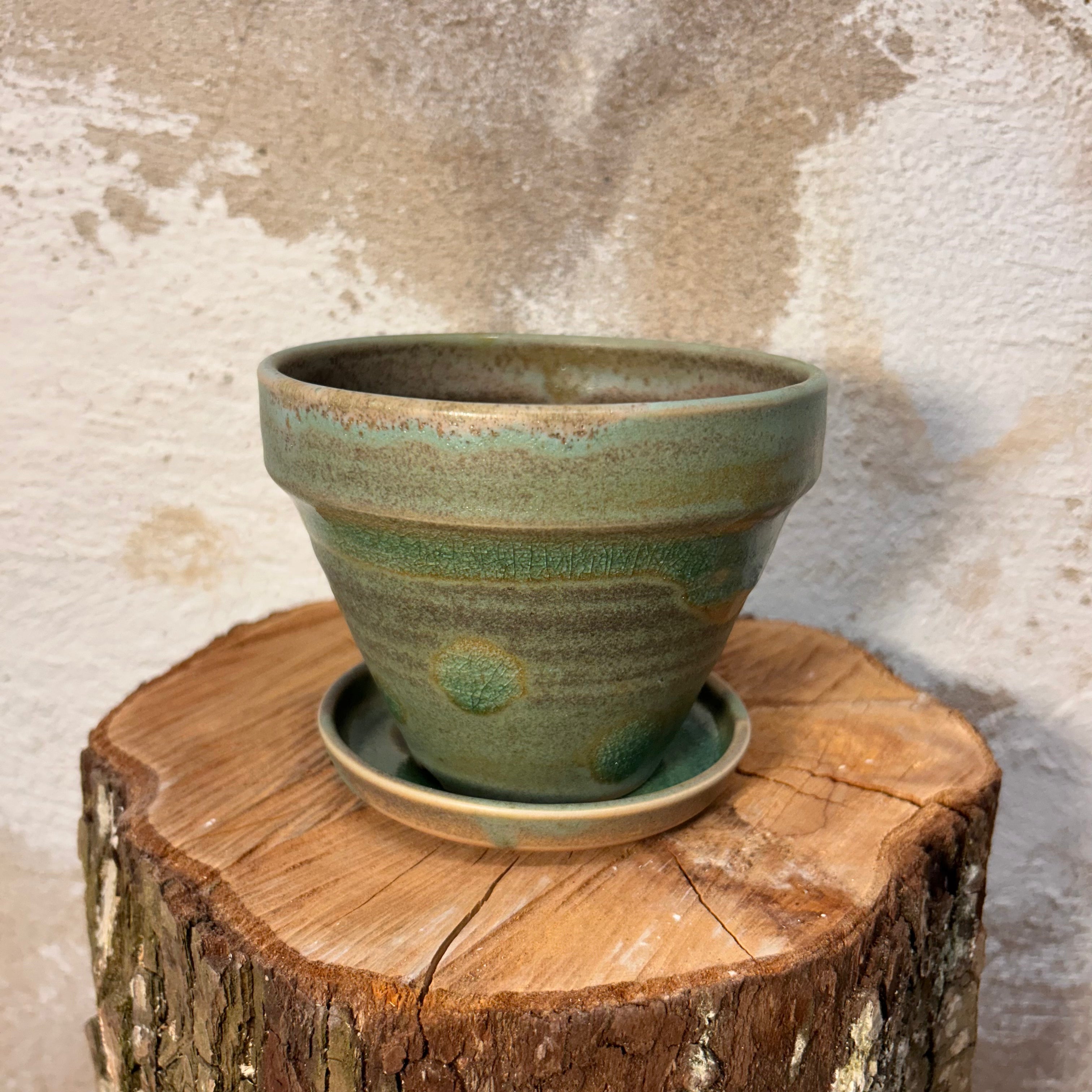 Potteskjuler, "Matcha-grøn"