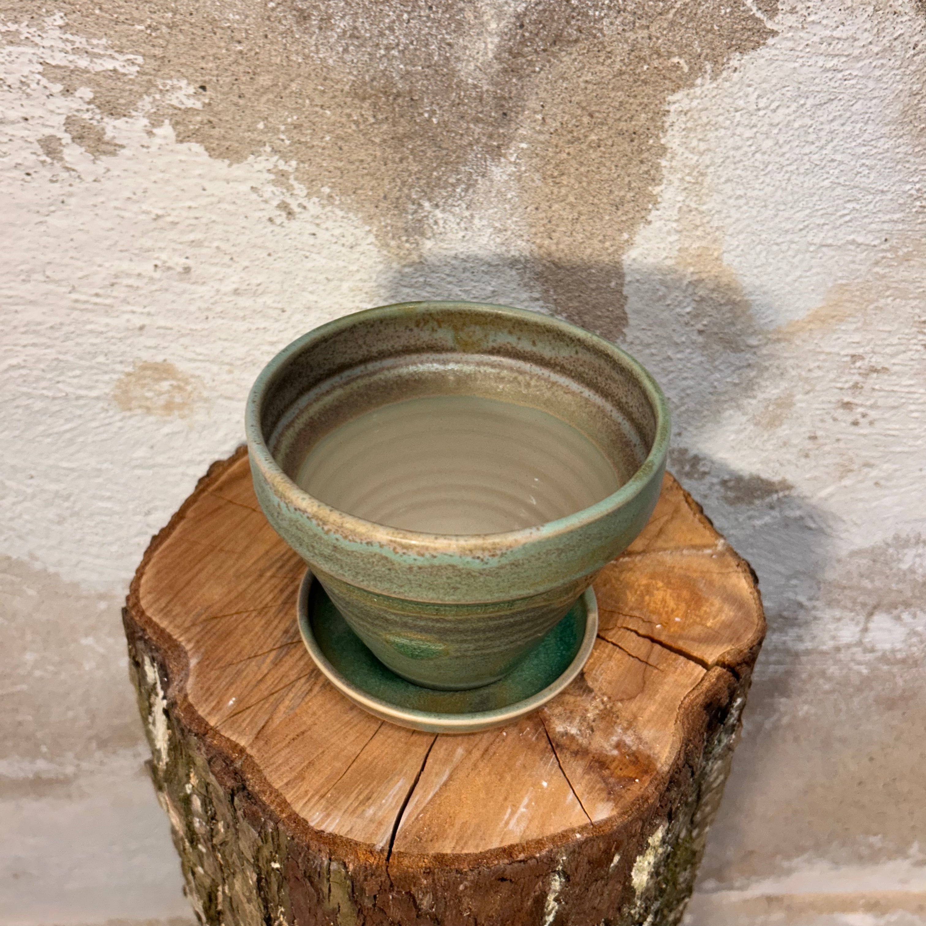 Potteskjuler, "Matcha-grøn"