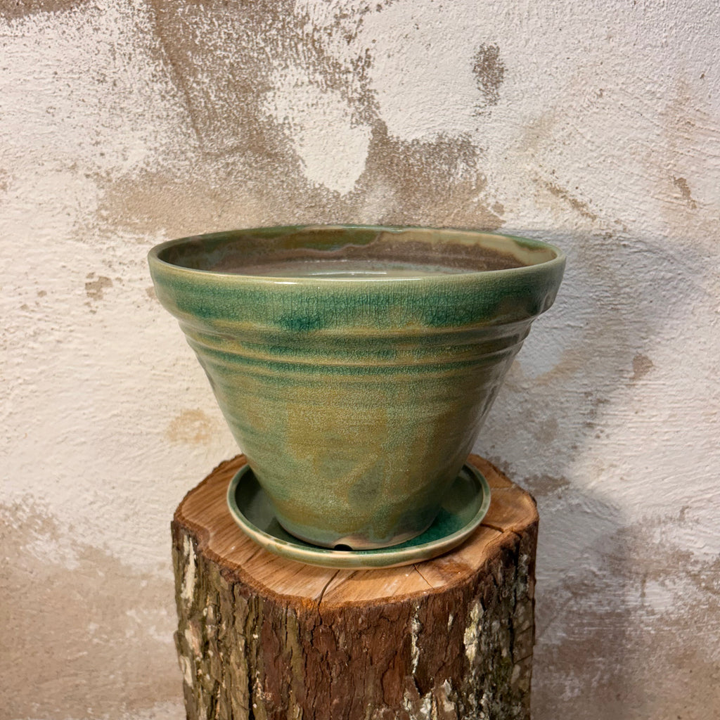 Potteskjuler, "Matcha-grøn"
