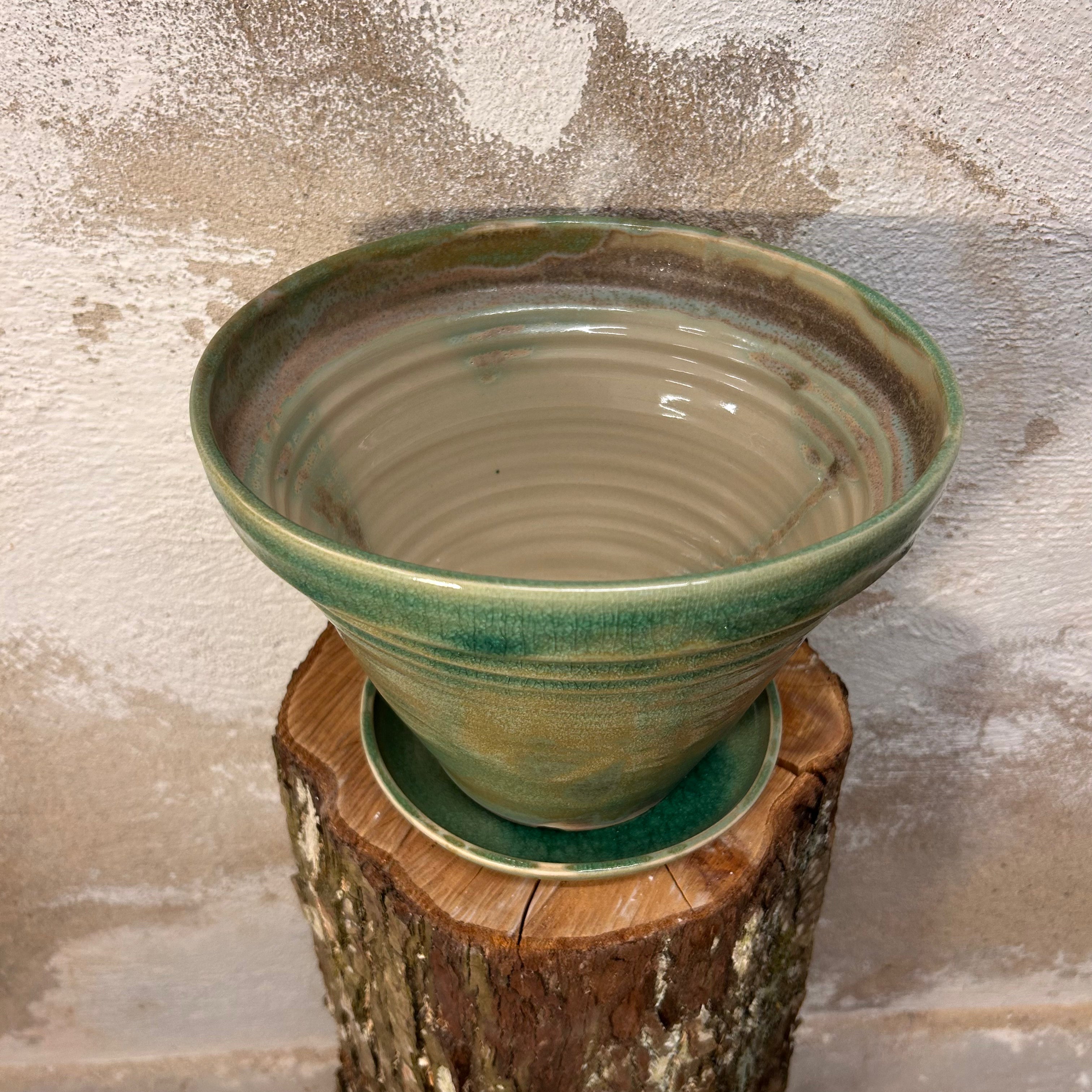 Potteskjuler, "Matcha-grøn"