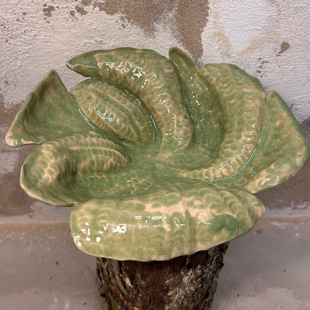 Koral-fad, "Dyb lysegrøn"